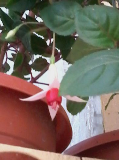 20140409_183455_resized