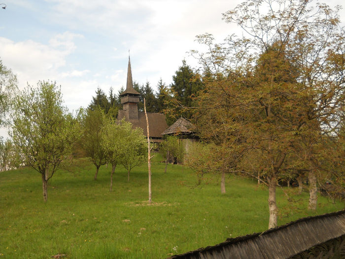 muzeu (44) - Sarbatoare la Muzeu