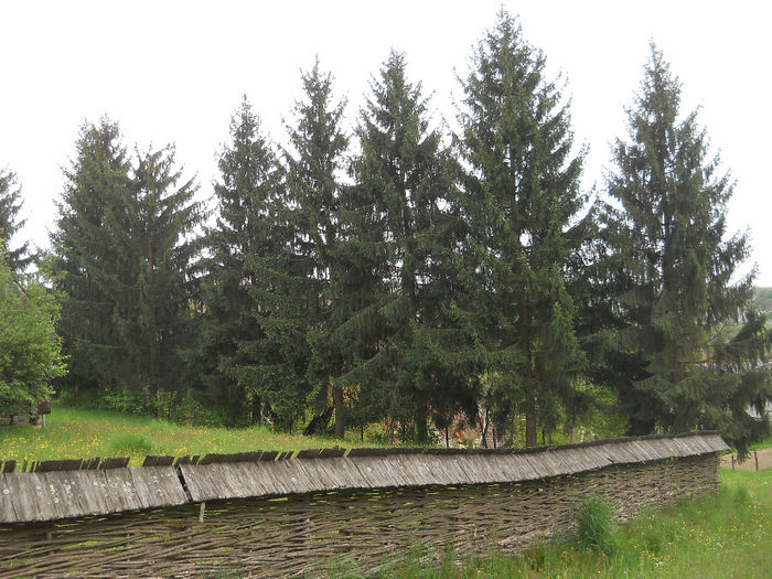 muzeu (46) - Sarbatoare la Muzeu