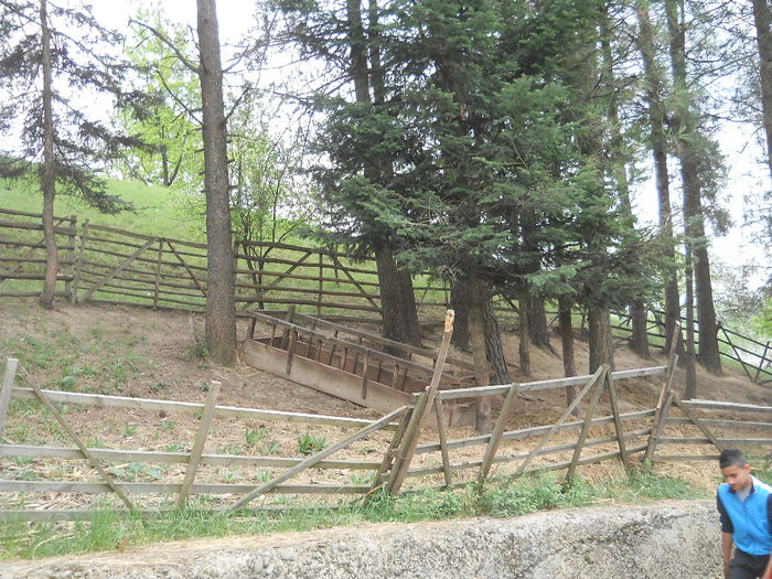 muzeu (57) - Sarbatoare la Muzeu