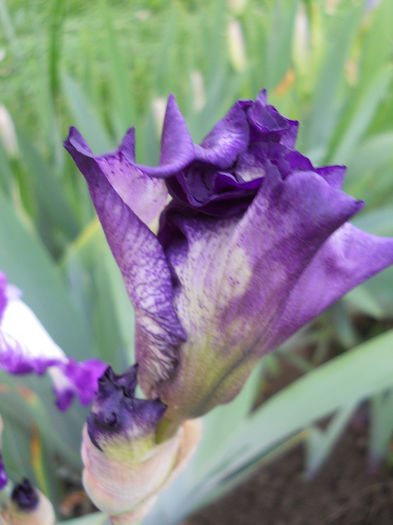 DSCN1396_039