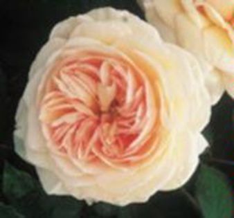 A SHROPSHIRE LAD