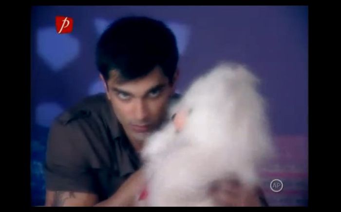377-378 - Dill Mill Gayye