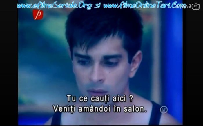 saygtedyrtutyut - Dill Mill Gayye