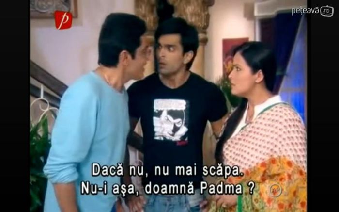 shdtuturt - Dill Mill Gayye
