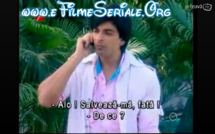 281 - Dill Mill Gayye