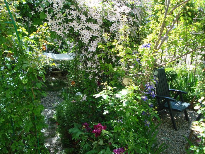 DSC07449 - Gradina in 2014