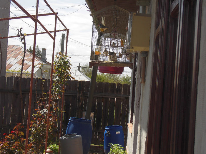 CIMG1087 - poze pentru Marius