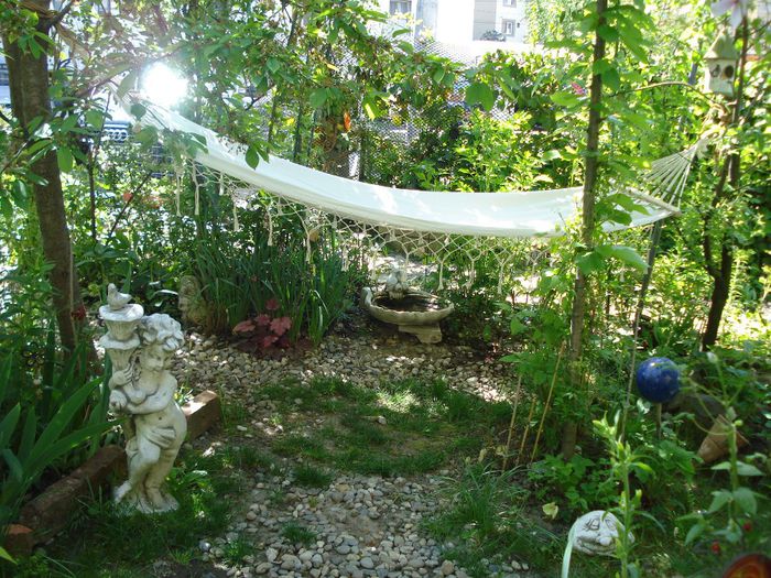 DSC07428 - Gradina in 2014
