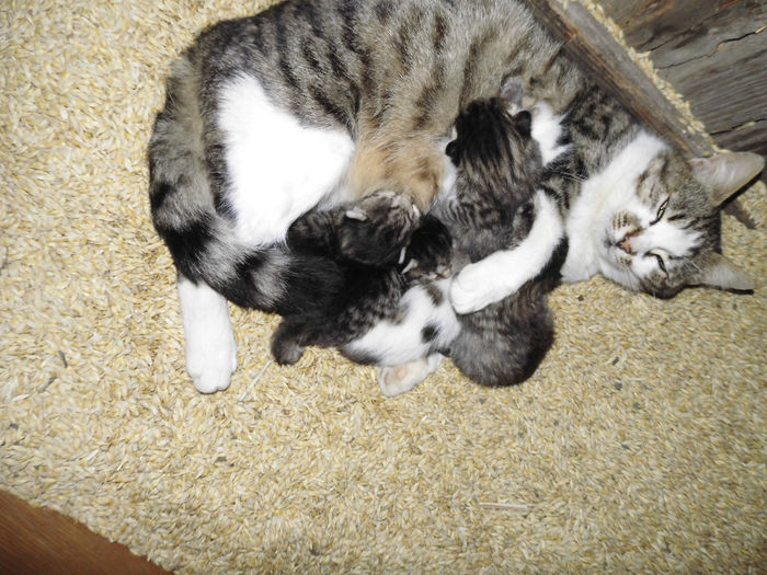 CIMG1114 - poze pentru Marius