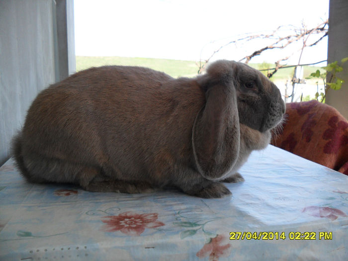 SAM_4652 - lili 5 luni si 3 saptamanii