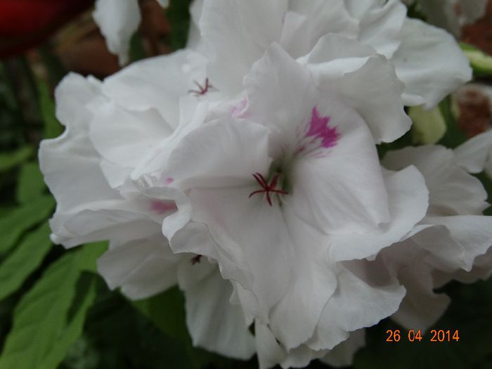 DSC02676