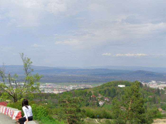 DSC00442