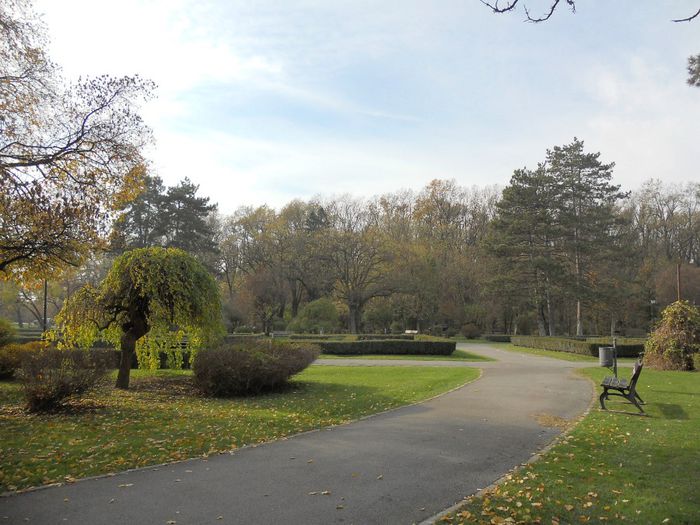 Parcul Privighetorilor, Baneasa