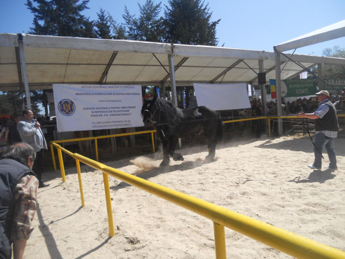 DSCN4437 - Agricultura si zootehnia anului 2014
