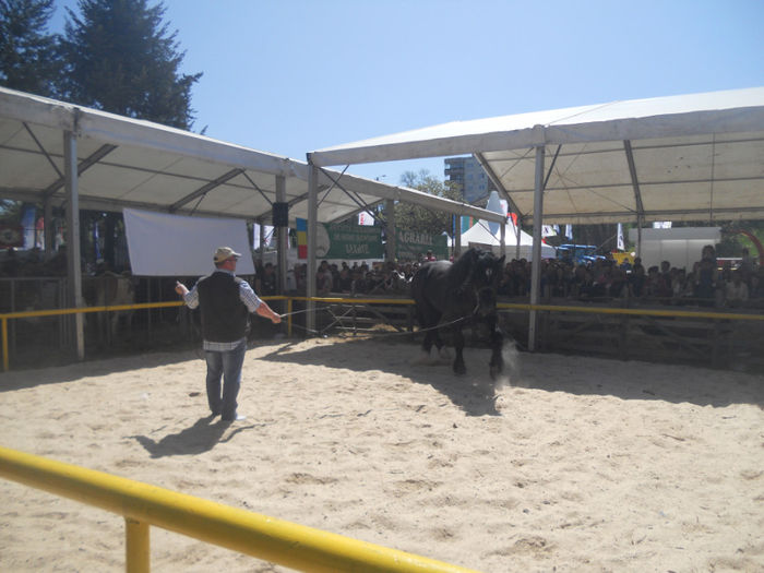 DSCN4441 - Agricultura si zootehnia anului 2014
