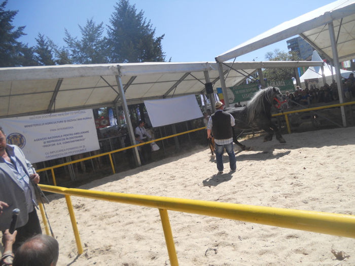 DSCN4443 - Agricultura si zootehnia anului 2014
