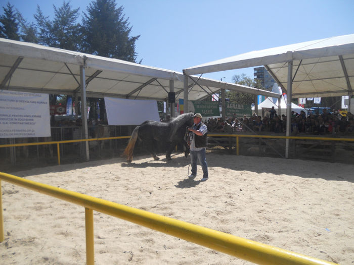 DSCN4444 - Agricultura si zootehnia anului 2014