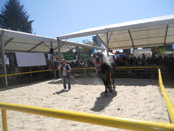DSCN4447 - Agricultura si zootehnia anului 2014