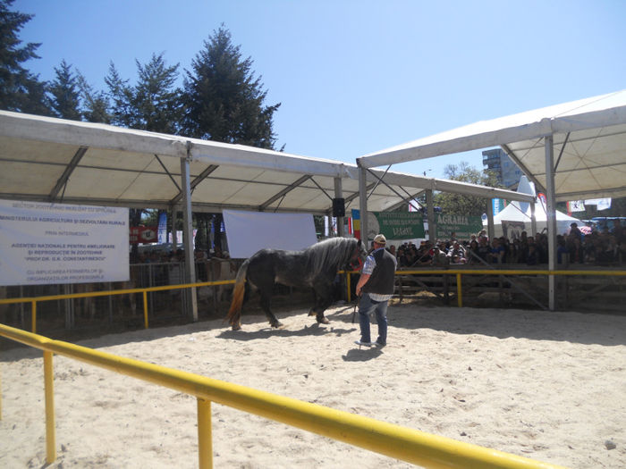 DSCN4448 - Agricultura si zootehnia anului 2014