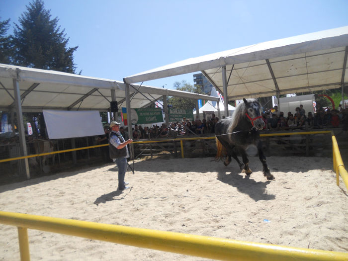 DSCN4449 - Agricultura si zootehnia anului 2014