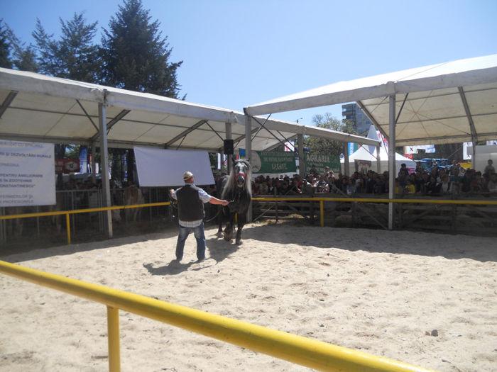 DSCN4452 - Agricultura si zootehnia anului 2014