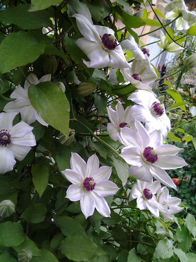 20140428_082358