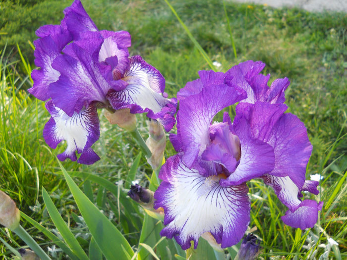 DSCN1426_021