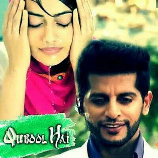 1491688_695195603855335_5094488274599096896_n - 15-Karanvir Bohra si Surbhi Jyoti