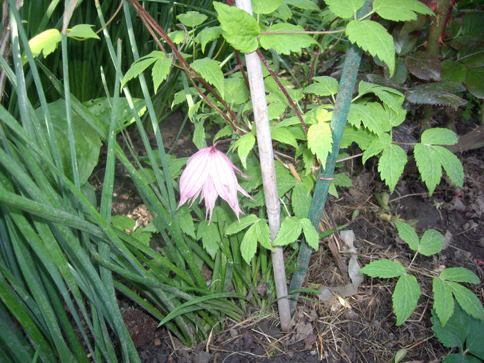 IMGP6084