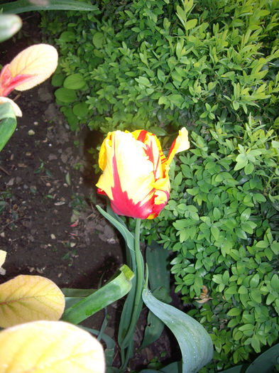 IMGP6106