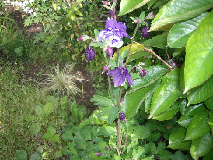 IMGP6060