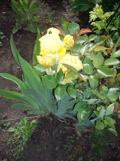 IMGP6065