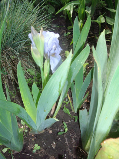 IMGP6068