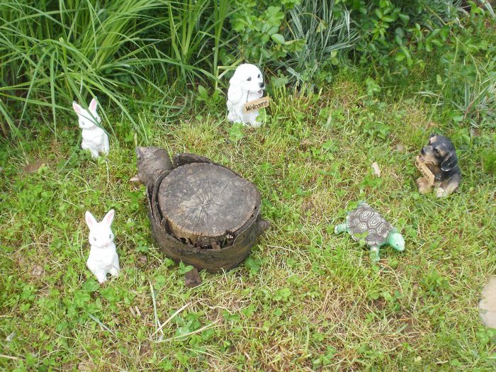 rata si ciuperca tocmai au trecut duminica in nefiinta:))