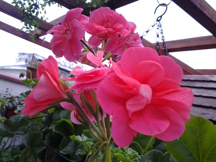 20140428_094958