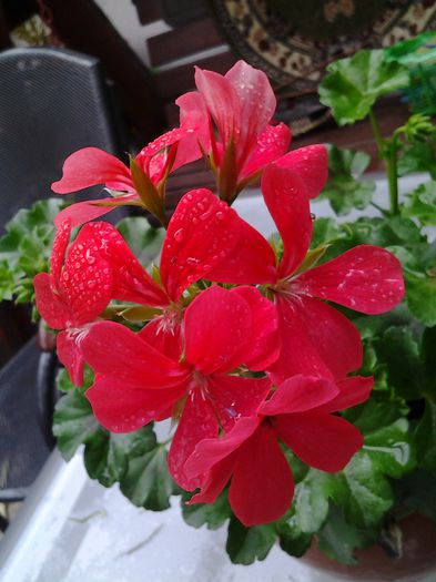 20140428_094938