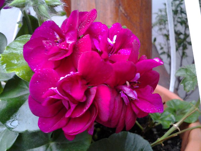 20140428_094923