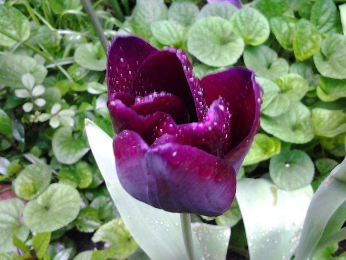 20140428_094301