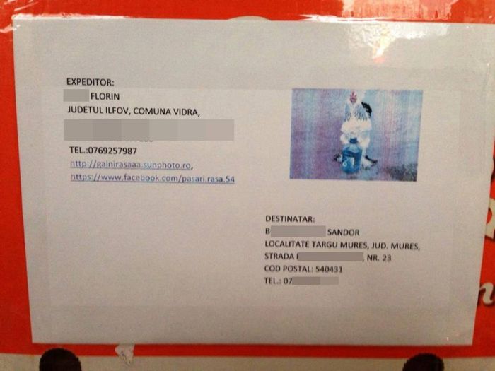 1462851_254530998063124_98851313_n