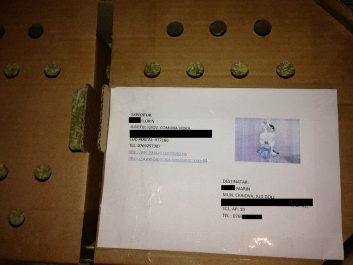 1619248_259400894242801_1664241262366820768_n