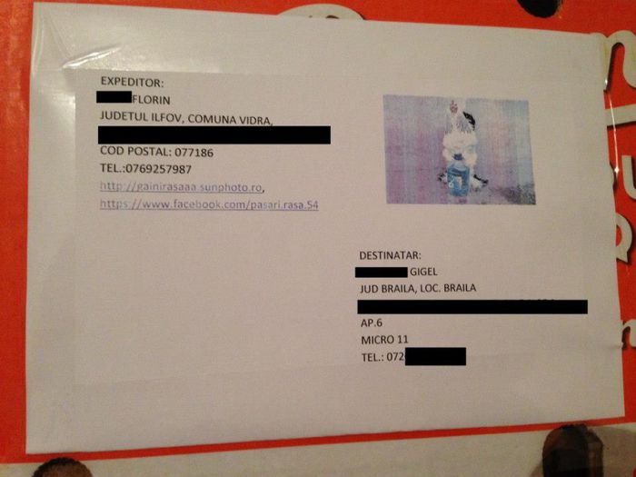 10001387_259400870909470_6240849882759415054_n