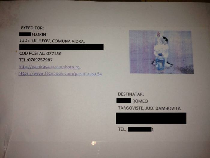 10151261_259400897576134_6787530839632332064_n