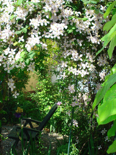 DSC07653 - Gradina in 2014