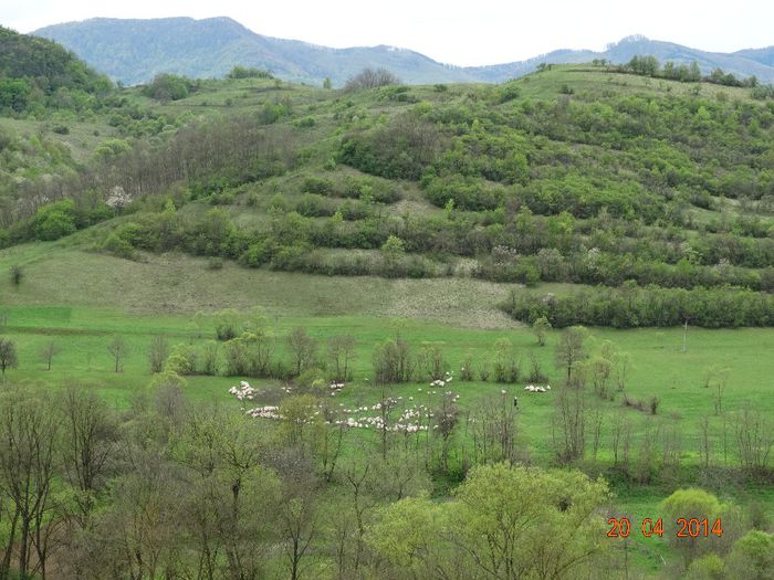 DSC02211 - Peisaje 2014 si alte imagini