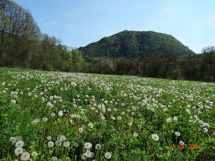 DSC02391 - Peisaje 2014 si alte imagini