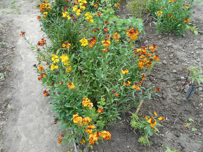 apriilie 2014 037