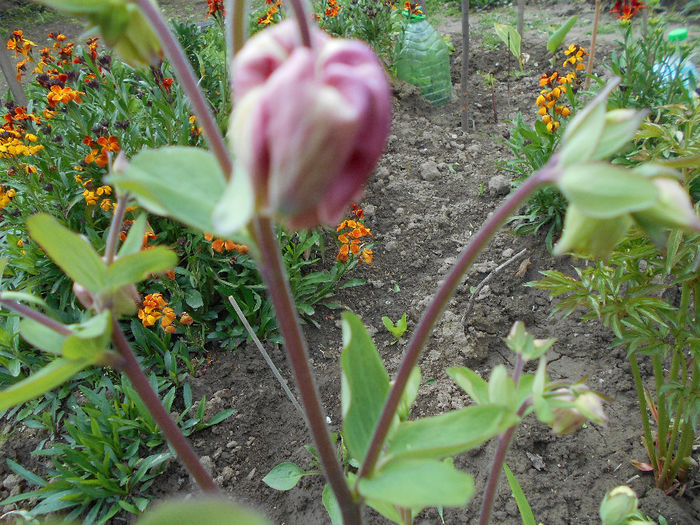 apriilie 2014 038