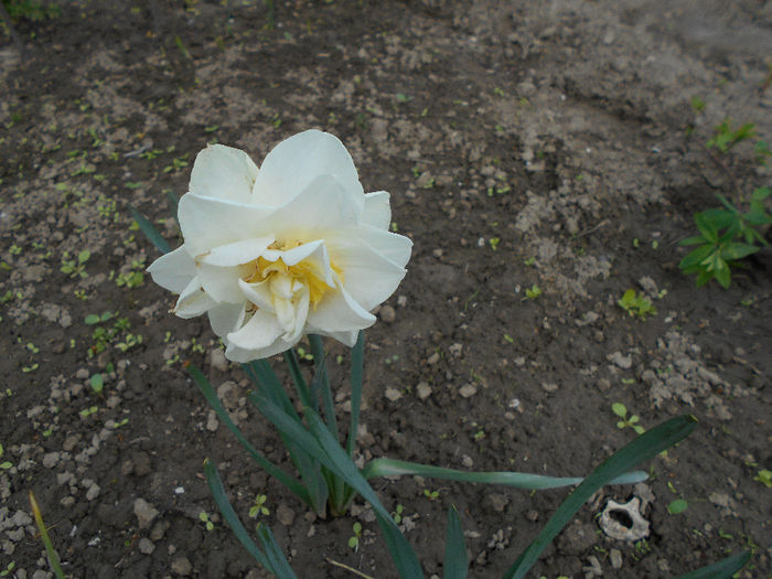 apriilie 2014 039