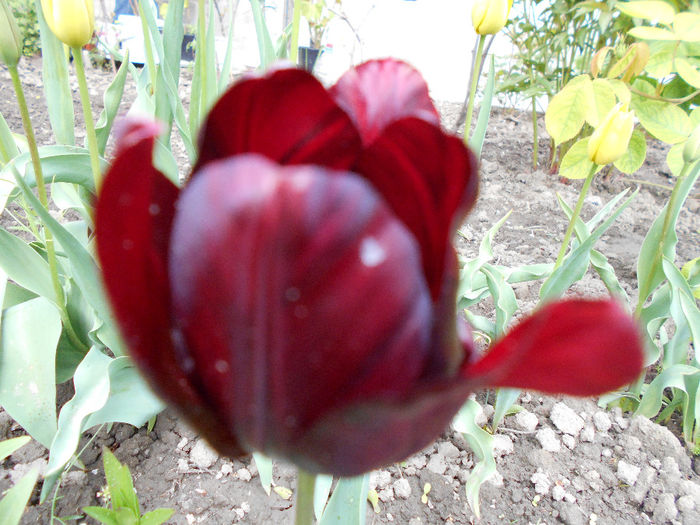 apriilie 2014 046